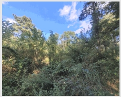  2025Ÿ��31766  �����