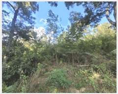  2025Ÿ��31766  �����