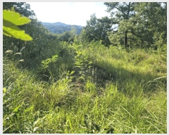  2025Ÿ��31766  �����