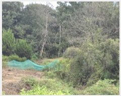  2025Ÿ��31766  �����