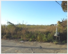  2025Ÿ��31886  ����