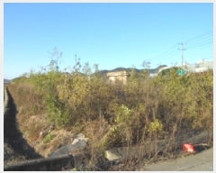  2025Ÿ��31886  ����