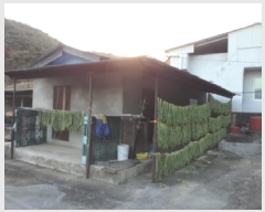  2025Ÿ��31911  ���ð��