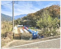  2025Ÿ��31933 �뱸 �޼��� ������ ���� 563      ����(��)���