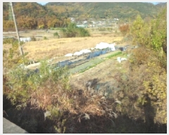  2025Ÿ��31933 �뱸 �޼��� ������ ���� 563      ����(��)���