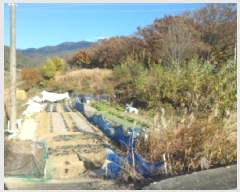  2025Ÿ��31933 �뱸 �޼��� ������ ���� 563      ����(��)���