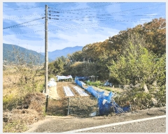  2025Ÿ��31933 �뱸 �޼��� ������ ���� 563      ����(��)���