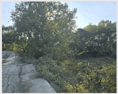  2025Ÿ��31978  �Ӿ߰��