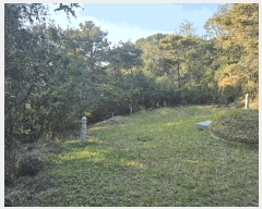  2025Ÿ��31978  �Ӿ߰��