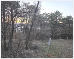  2025Ÿ��31978  �Ӿ߰��