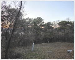  2025Ÿ��31978  �Ӿ߰��