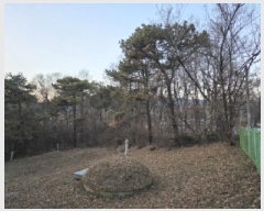  2025Ÿ��31978  �Ӿ߰��