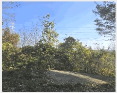  2025Ÿ��31983  �����