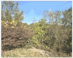  2025Ÿ��31983  �����