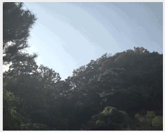  2025Ÿ��31983  �����