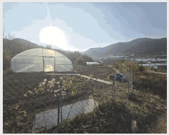  2025Ÿ��31983  �����