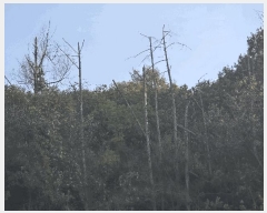  2025Ÿ��31983  �����