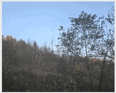  2025Ÿ��31983  �����