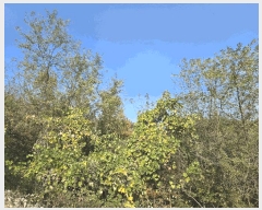  2025Ÿ��31983  �����