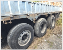  2025Ÿ��31993  �������