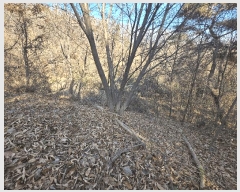  2025Ÿ��32197 ��� ���ֱ� ������ ���� 264-3      ����(��1)���