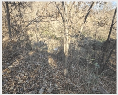  2025Ÿ��32197 ��� ���ֱ� ������ ���� 264-3      ����(��1)���