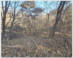  2025Ÿ��32197 ��� ���ֱ� ������ ���� 264-3      ����(��1)���