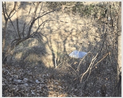  2025Ÿ��32197 ��� ���ֱ� ������ ���� 264-3      ����(��1)���