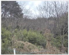  2025Ÿ��32197 ��� ���ֱ� ������ ���� 264-3      ����(��1)���