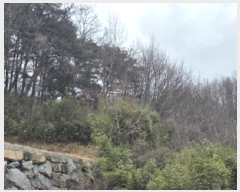  2025Ÿ��32197 ��� ���ֱ� ������ ���� 264-3      ����(��1)���