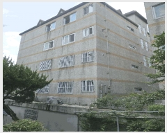  2025Ÿ��22310 �λ� ������ ���굿 979-6 �������� �� 101ȣ    �ټ���,������