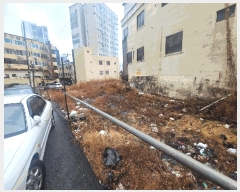  2025Ÿ21448 λ  ϵ 1309-6       ()