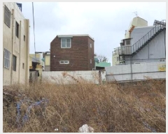  2025Ÿ21448 λ  ϵ 1309-6       ()