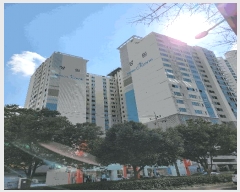  2025Ÿ��21597  ����Ʈ���