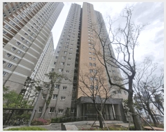  2025Ÿ��1237  ����Ʈ���