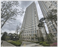  2025Ÿ��1237  ����Ʈ���