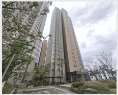  2025Ÿ��1237  ����Ʈ���