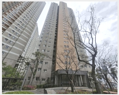  2025Ÿ��1237  ����Ʈ���