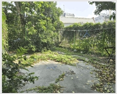  2025Ÿ��21978 �λ� ������ ���ε� 294-27       ���ð��