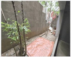  2025Ÿ��21562  ���ڽü����