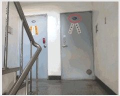  2025Ÿ��21417  �ټ���(����)���