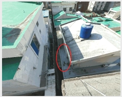  2025Ÿ��21531  ���ð��