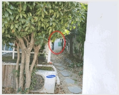  2025Ÿ��21531  ���ð��