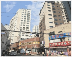  2025Ÿ��21587  �ټ���(����)���