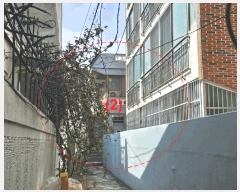  2025Ÿ��21631  ���ð��