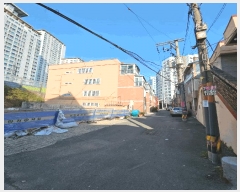  2025Ÿ��21687  �ټ���(����)���