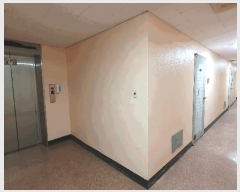  2025Ÿ��21786 �λ� ���� �ʷ��� 121-7 �������ǽ��� 2��206ȣ     ���ǽ��ڰ��