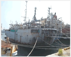  2025Ÿ��1848  ���ڰ��