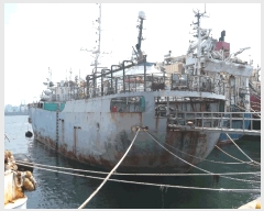  2025Ÿ��1848  ���ڰ��