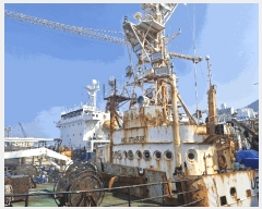  2025Ÿ1855 ׺ũ          ڰ